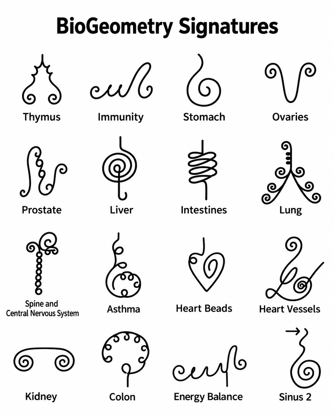 Chart of BioGeometry Signature line symbols labeled Thymus, Immunity, Stomach, Ovaries, Prostate, Liver, Intestines, Lung, Spine and Central Nervous System, Asthma, Heart Beads, Heart Vessels, Kidney, Colon, Energy Balance, and Sinus 2
