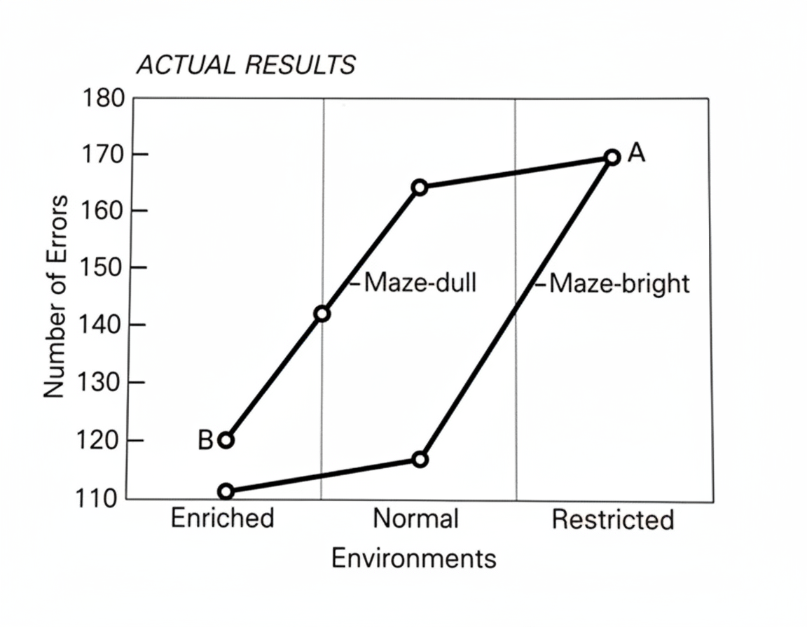 Rat intelligence study results showing maze performance across enriched, normal, and restricted environments