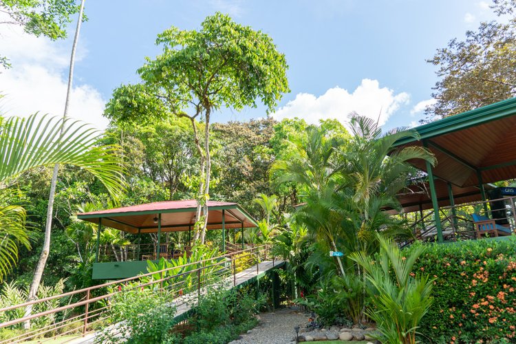 Garden walkway between the open-air pavilions at Arbol Verde
