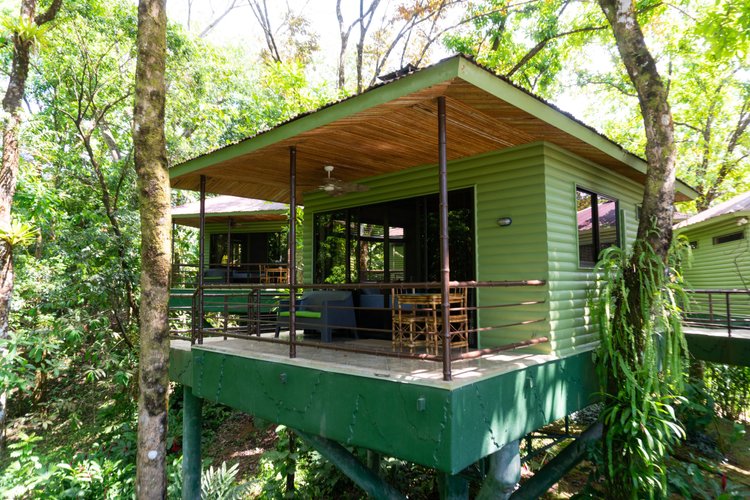 Green villa rising into the trees at Arbol Verde