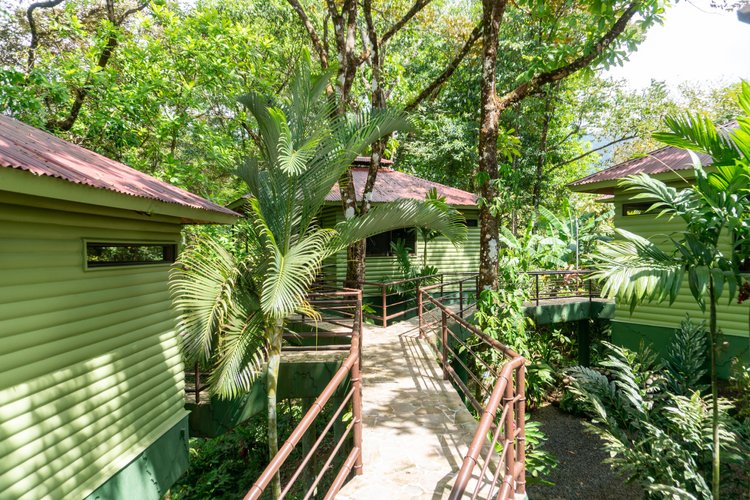 Path between villas under the rainforest canopy at Arbol Verde
